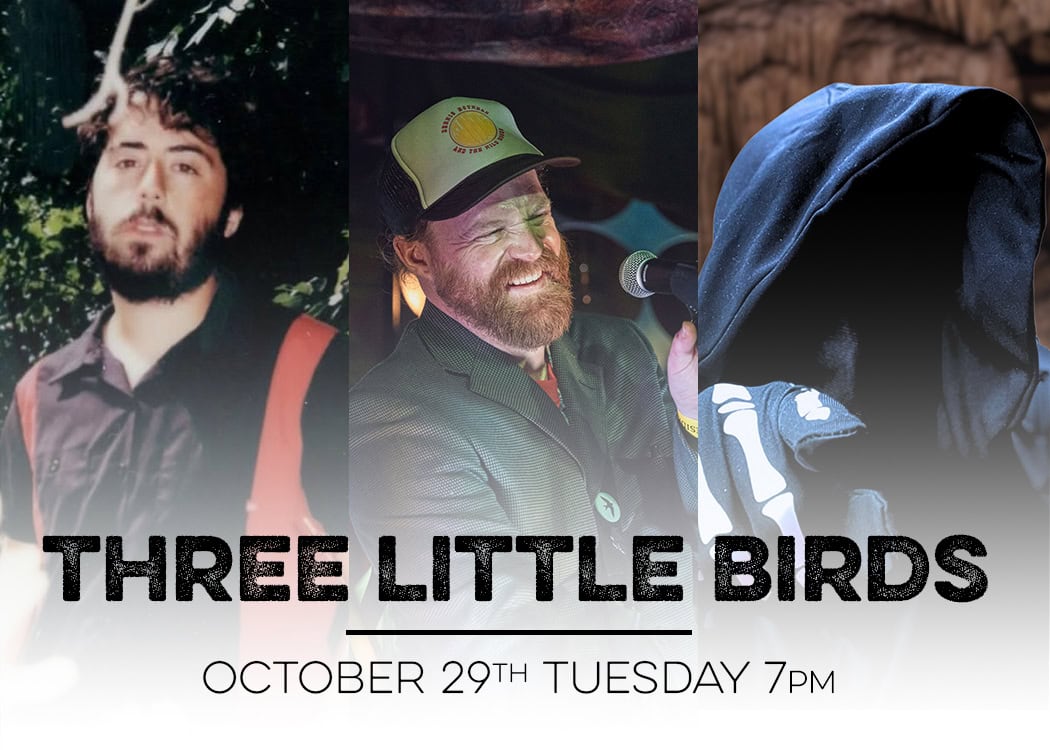 three little birds website