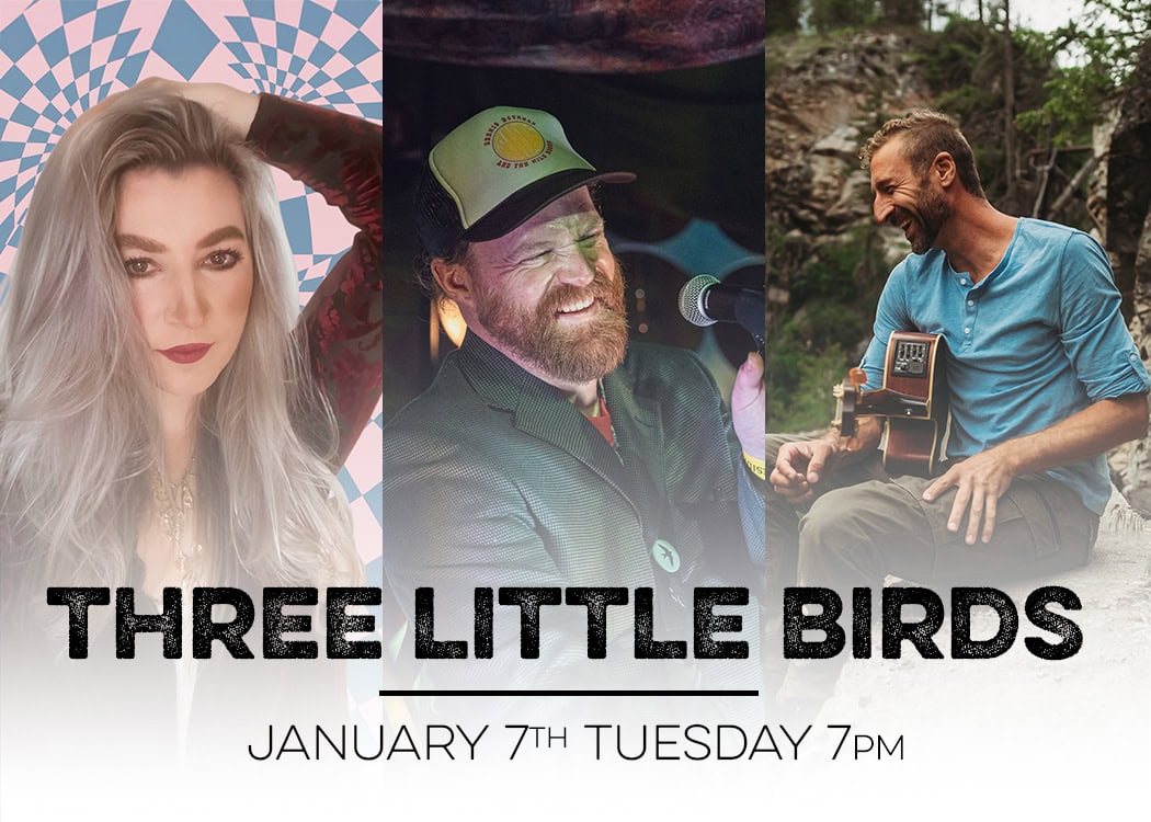 three little birds jan7