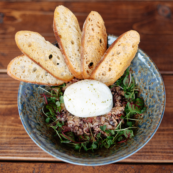 burrata artichoke tapenade, herb oil, crostini, micro greens